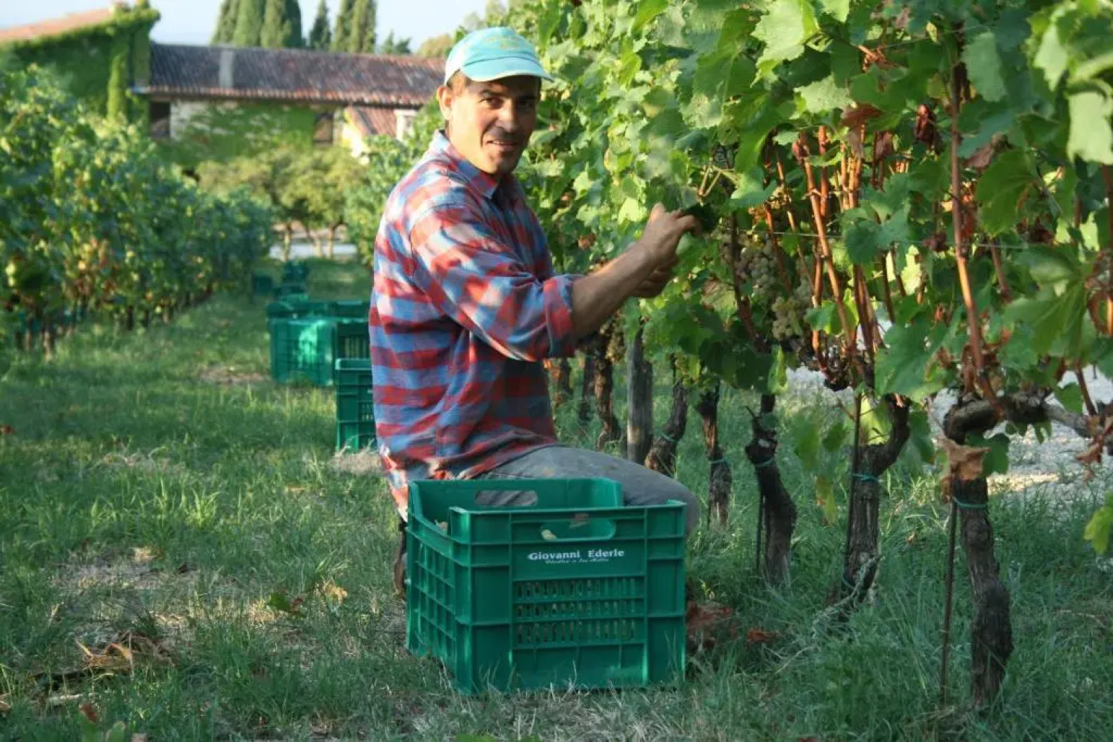 Corte San Mattia - Agriturismo in Verona