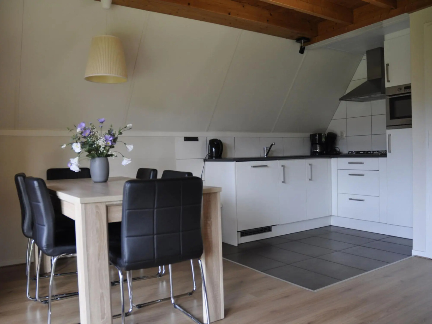 Detached Holiday Home With Dishwasher Near Assen
