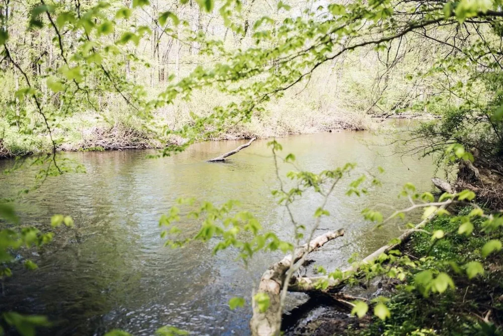 Tentrr - Creekside Woods Getaway