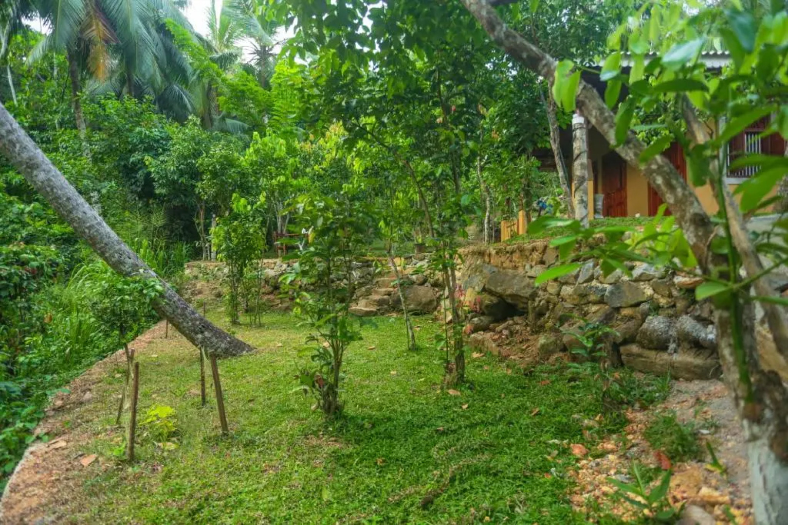 Cinnamon Jungle Villa, one Bedroom Villa