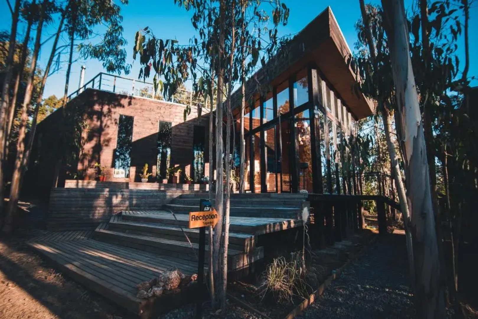 Tripanko Lodge & Bungalows