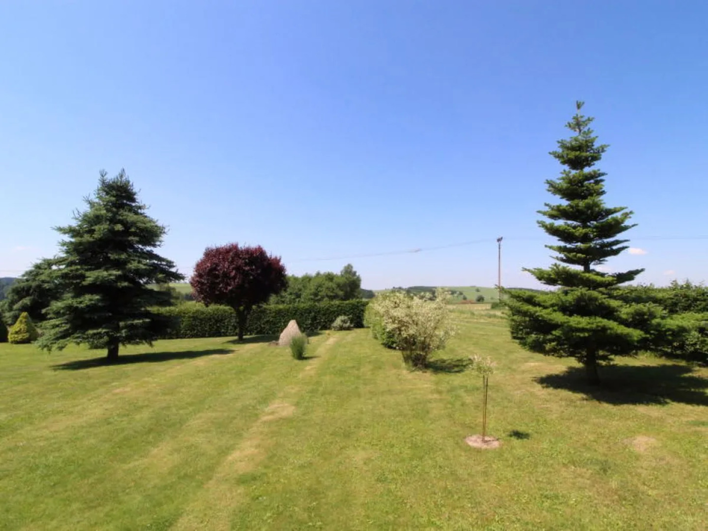 Rokytnice v Orlických horách