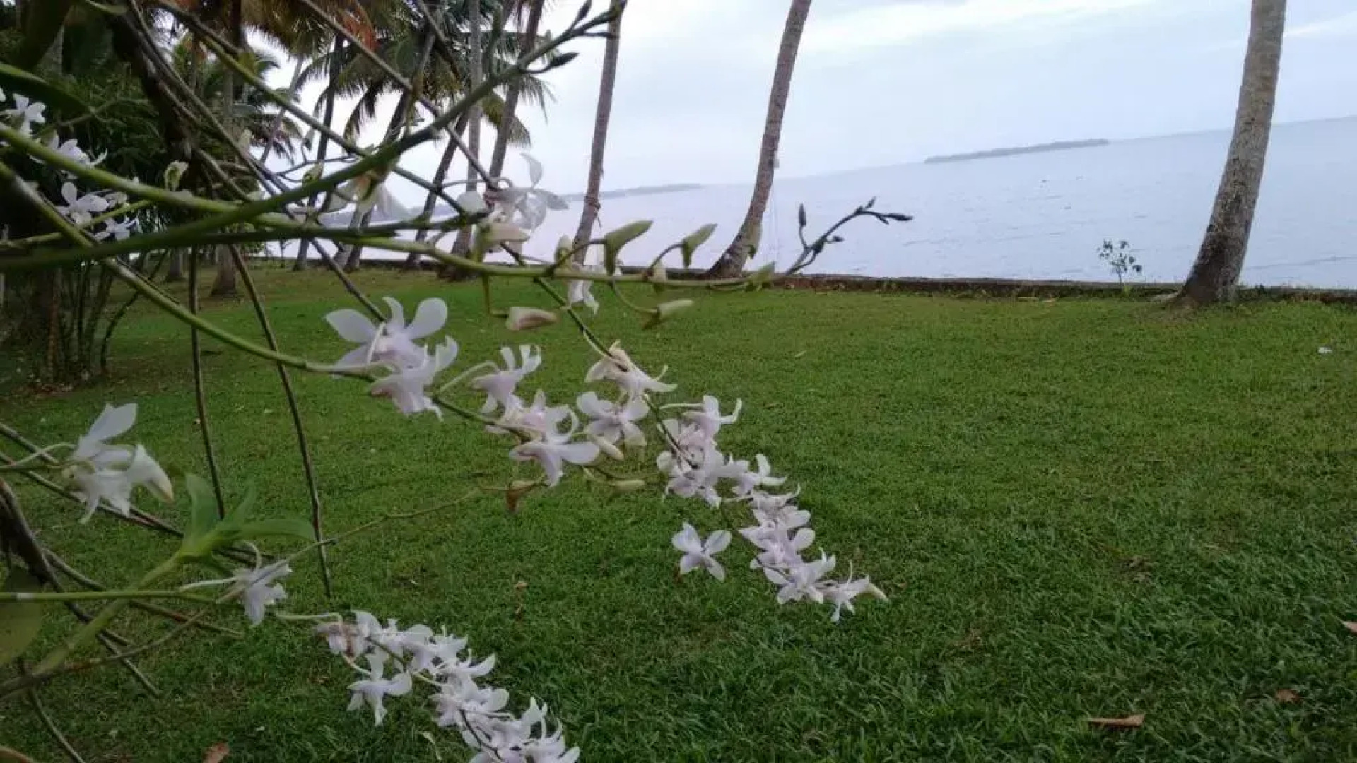 Vembanad House Boutique Back Water Homestay