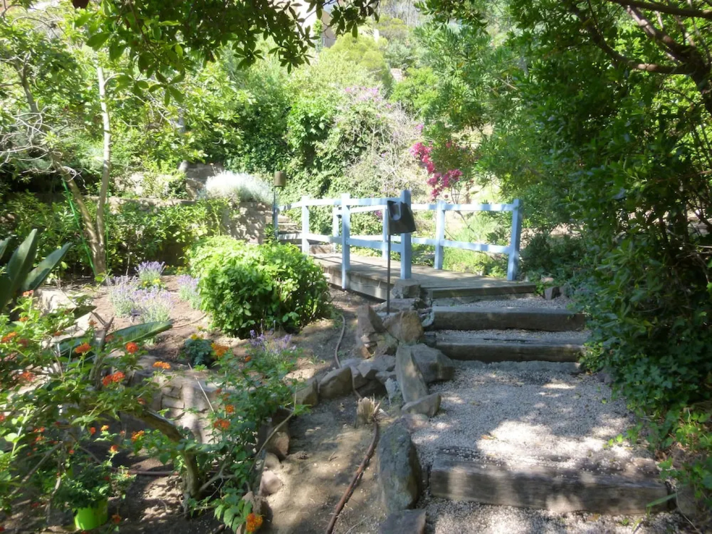 Agence la Galère - Appartement Diabolo