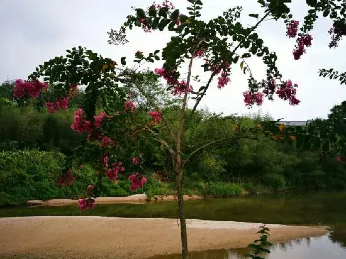 Chaji Shui'an Home Inn