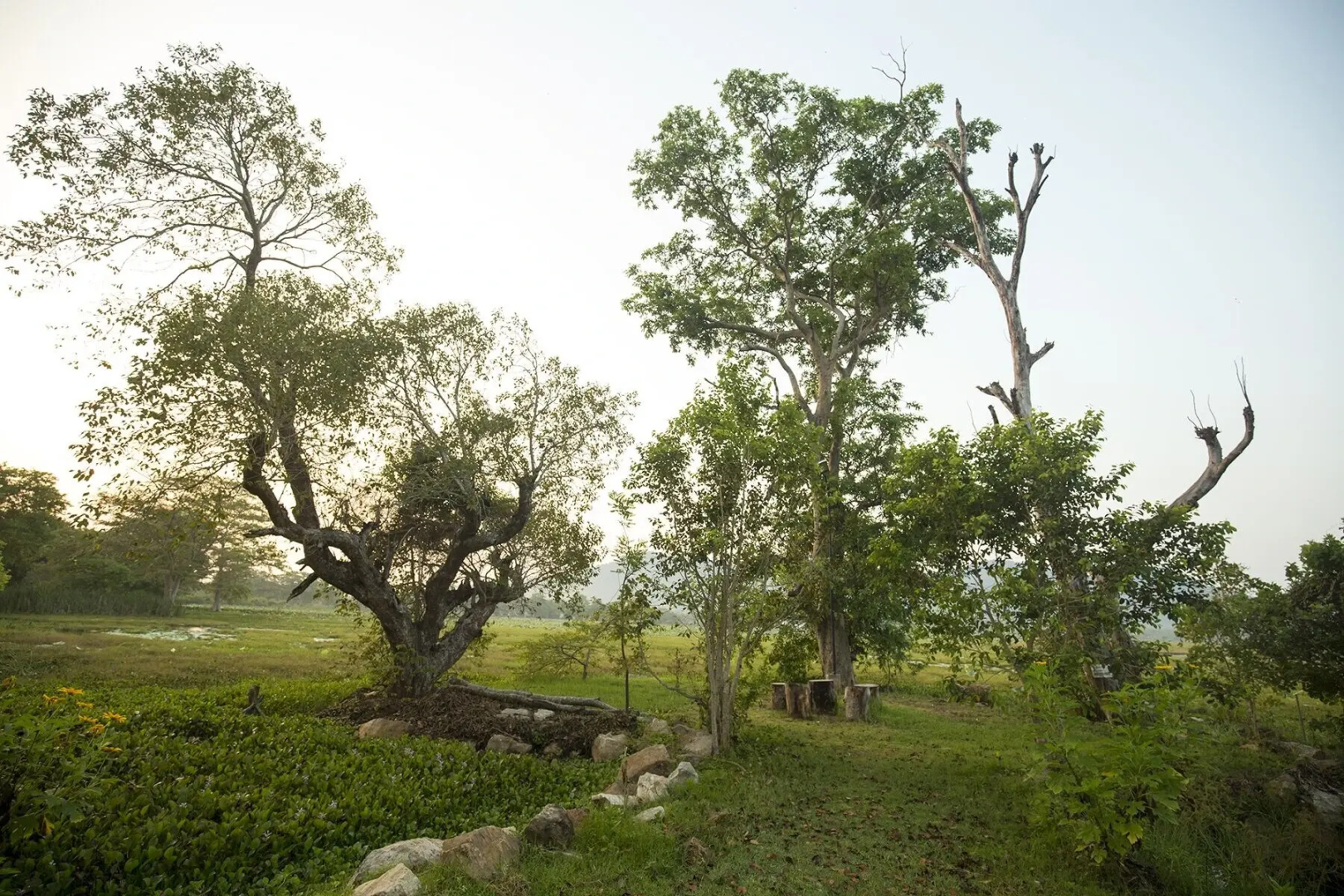 Grand Tamarind Lake
