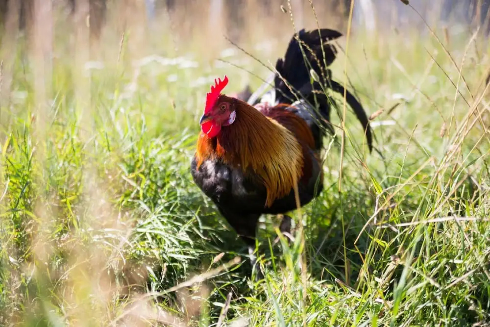 Nymarksminde Apartments & Farmpark