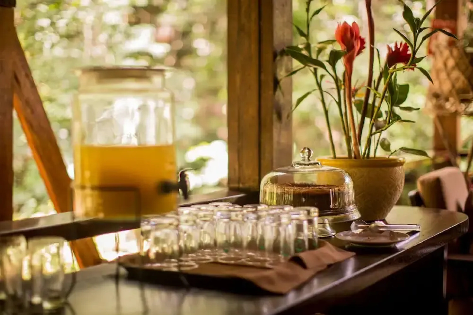 Отель Refugio Amazonas