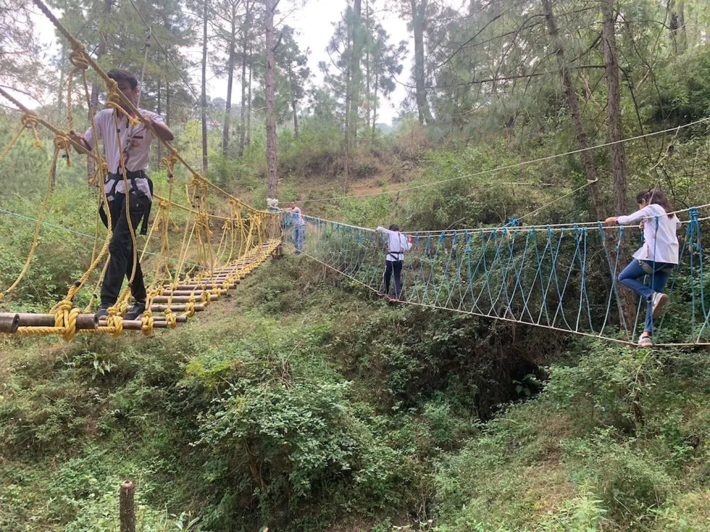 Pine Trails Jungle Camp