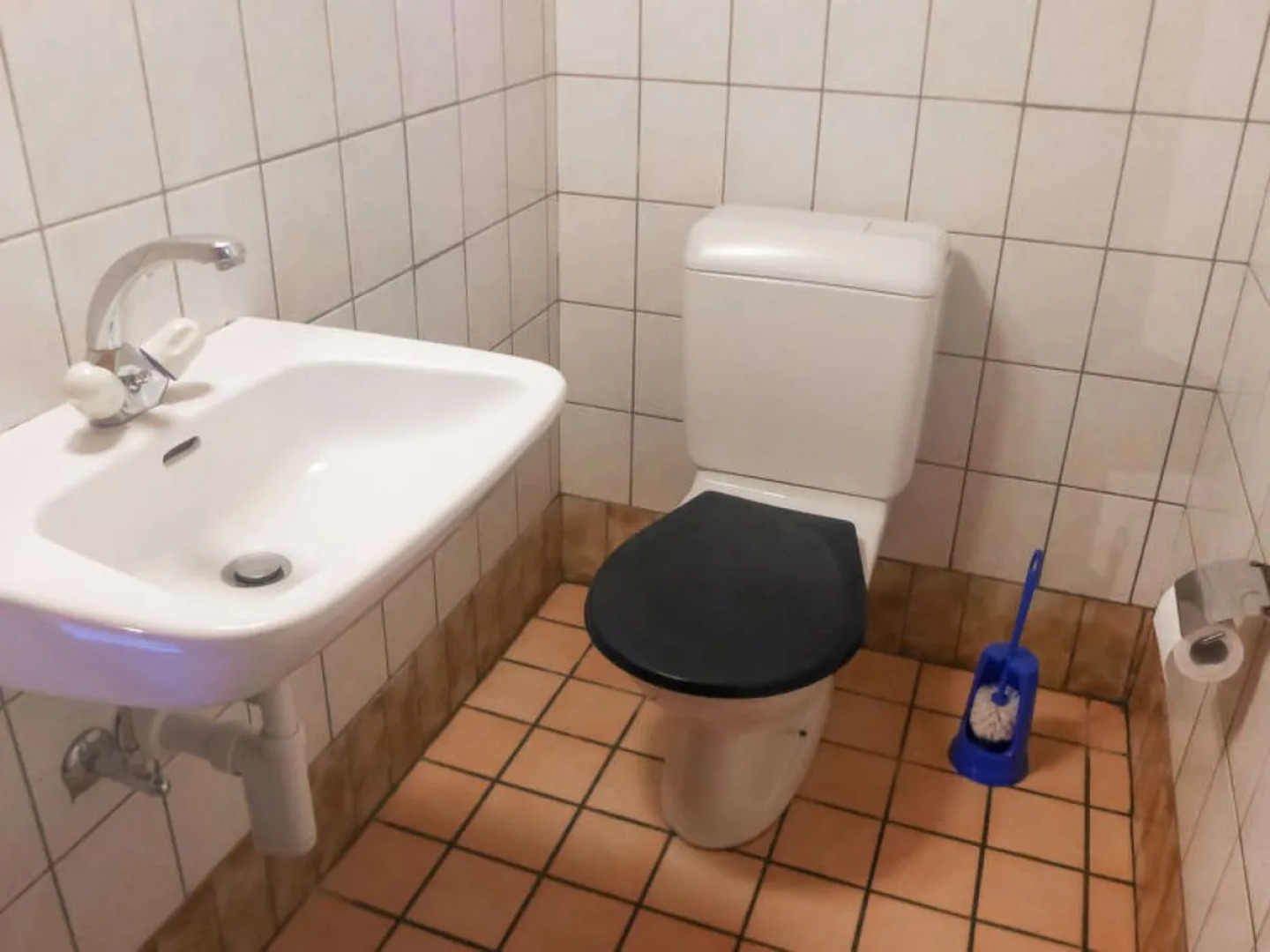 Chalet Anthamatten 24434