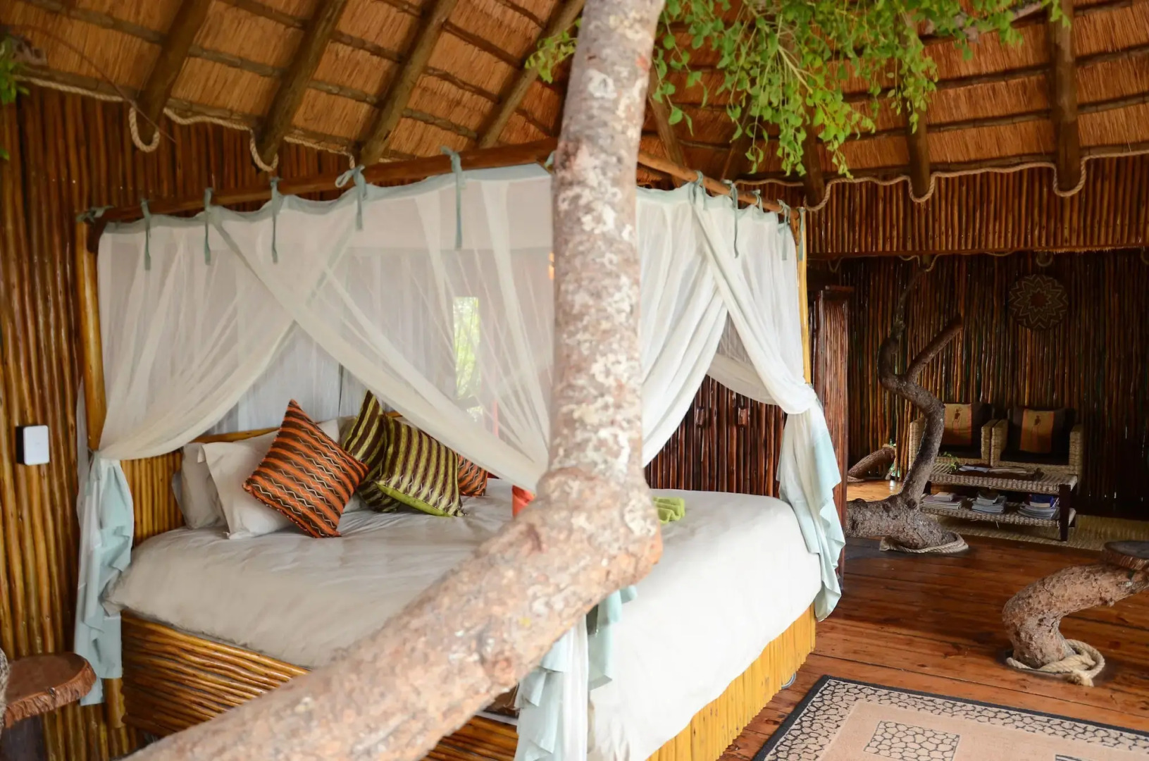 Pezulu Tree House Lodge