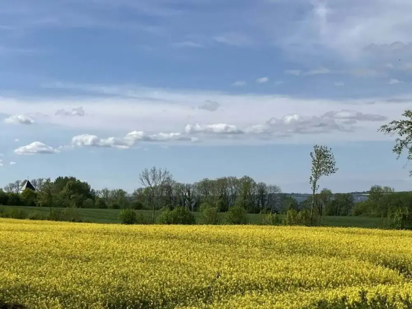 Ostseeliebe Flensfjord