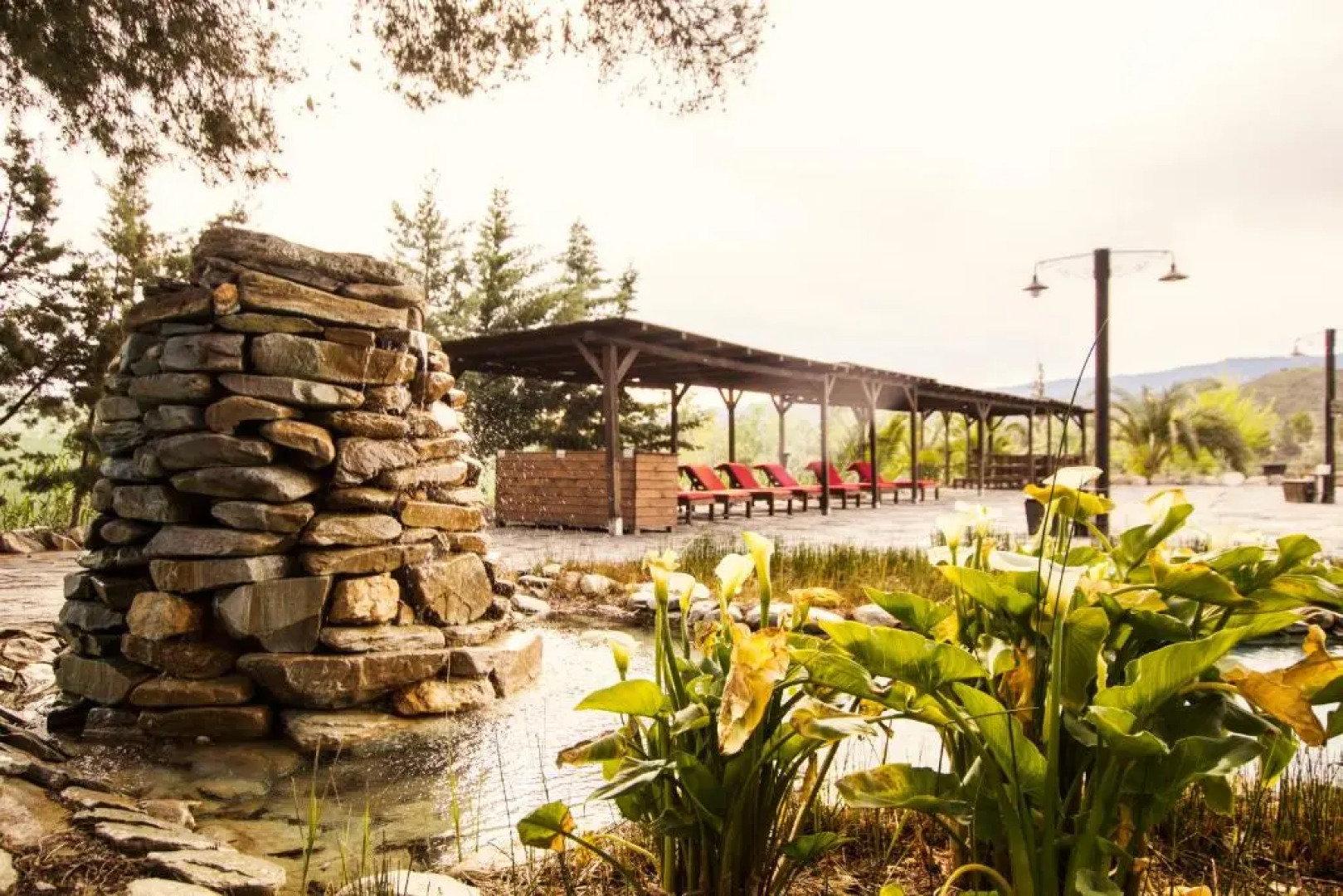 Alojamientos Rurales Los Albardinales