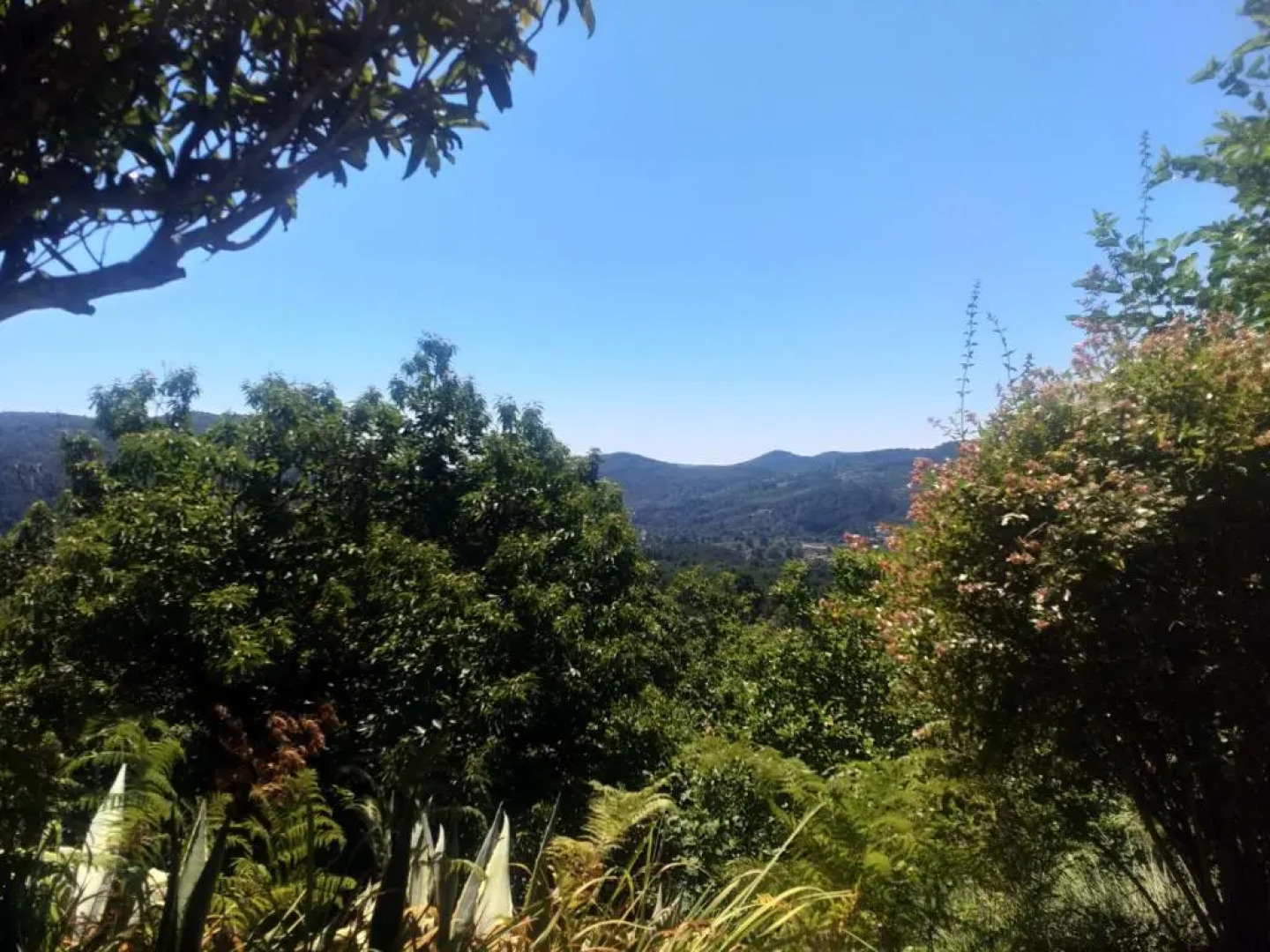 Les Jardins d'Arbousse