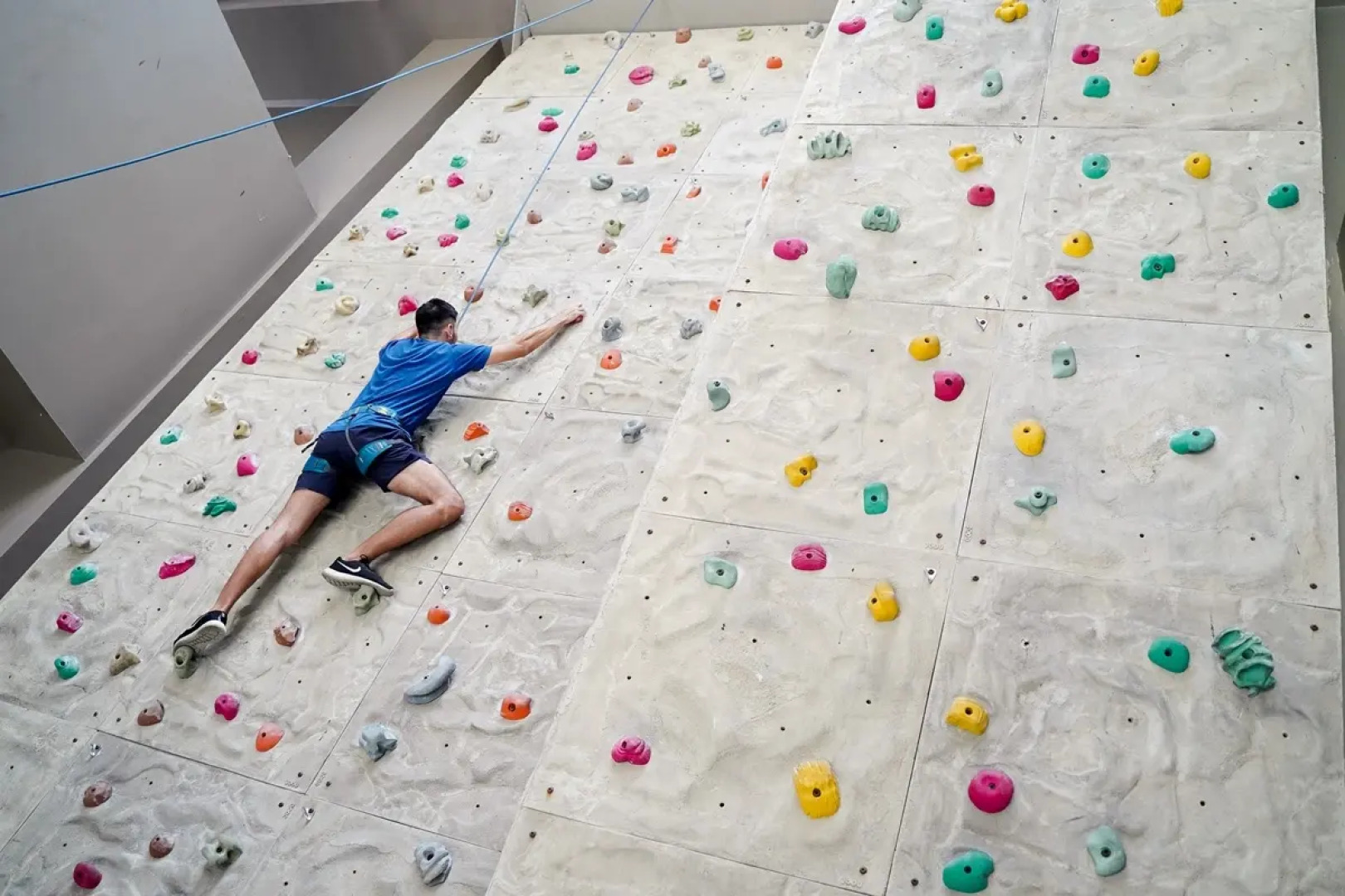 The Leaf at Timberland Heights