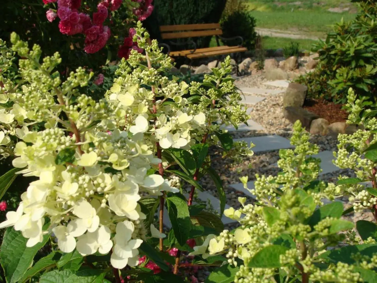 Stary Młyn w Brzeźnicy