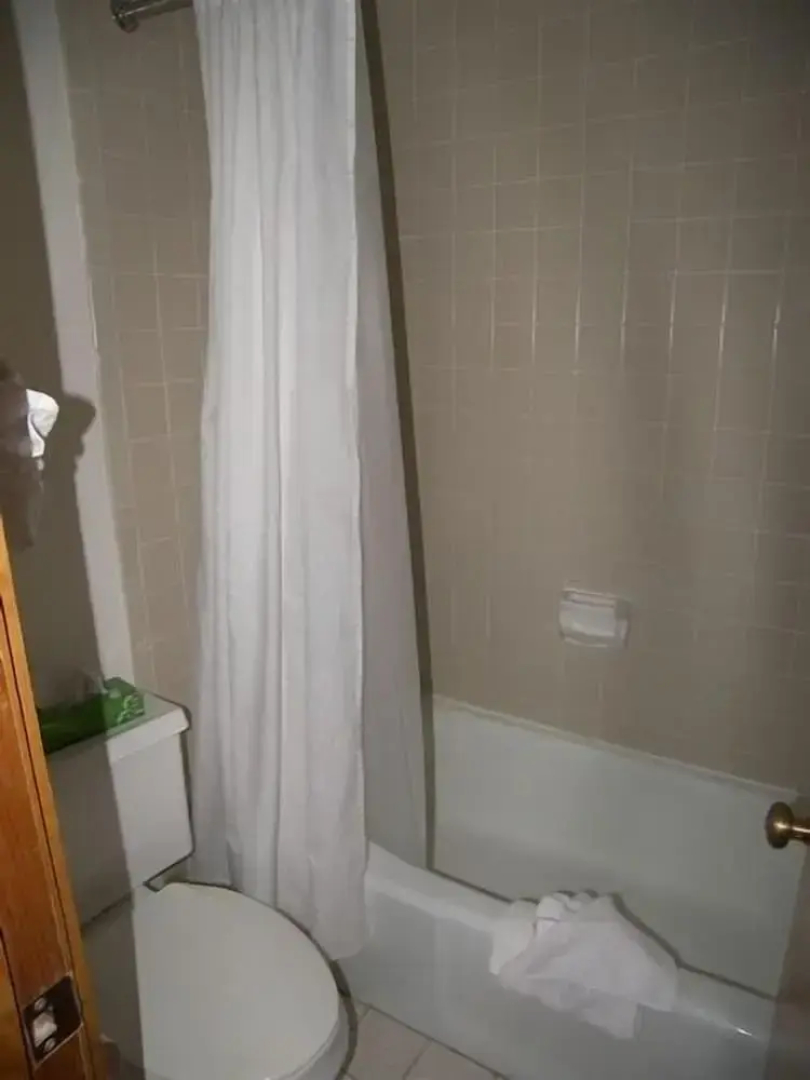 Fox Pine Lodge Hotel Room 2
