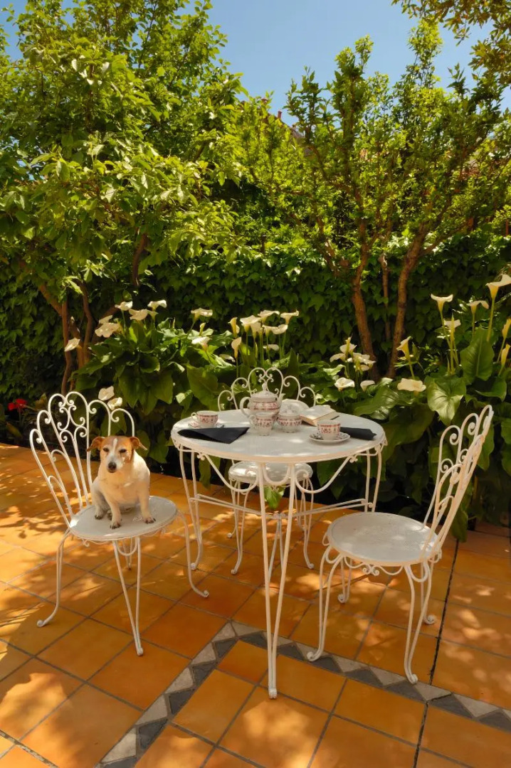 Allegroitalia Alassio Rosa