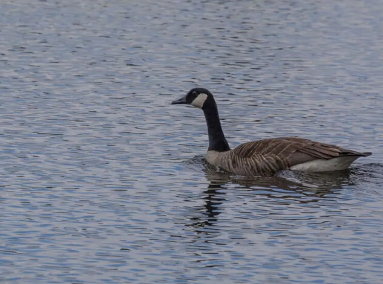 Weiherhof Comfortable Holiday Residence