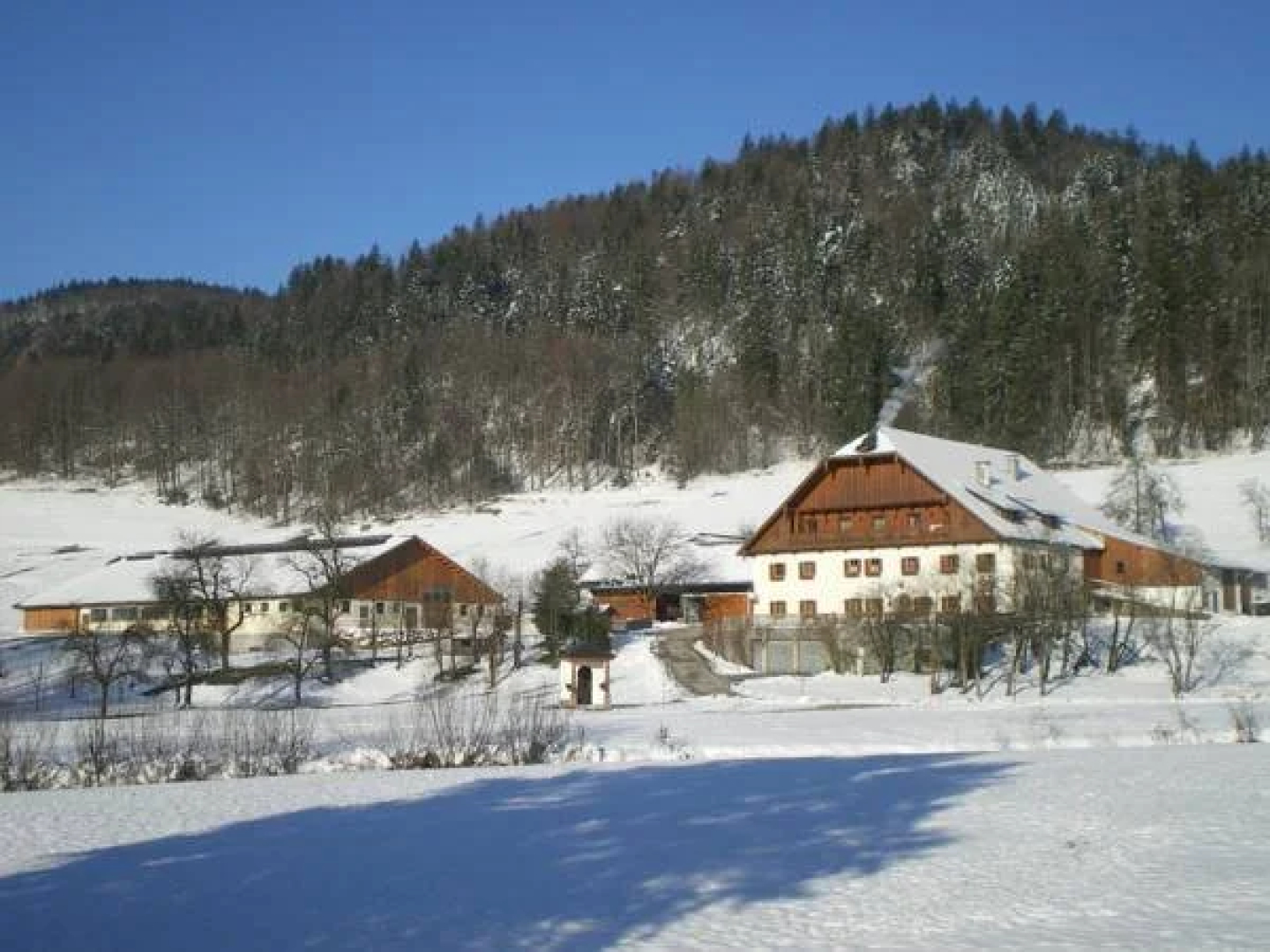 Russbachbauer