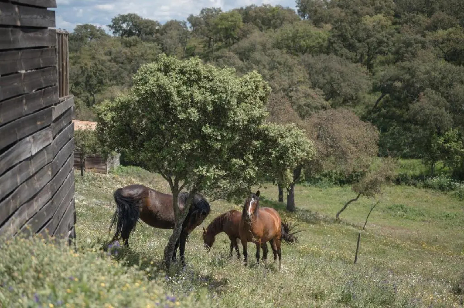 Monte Gois Country House e Spa