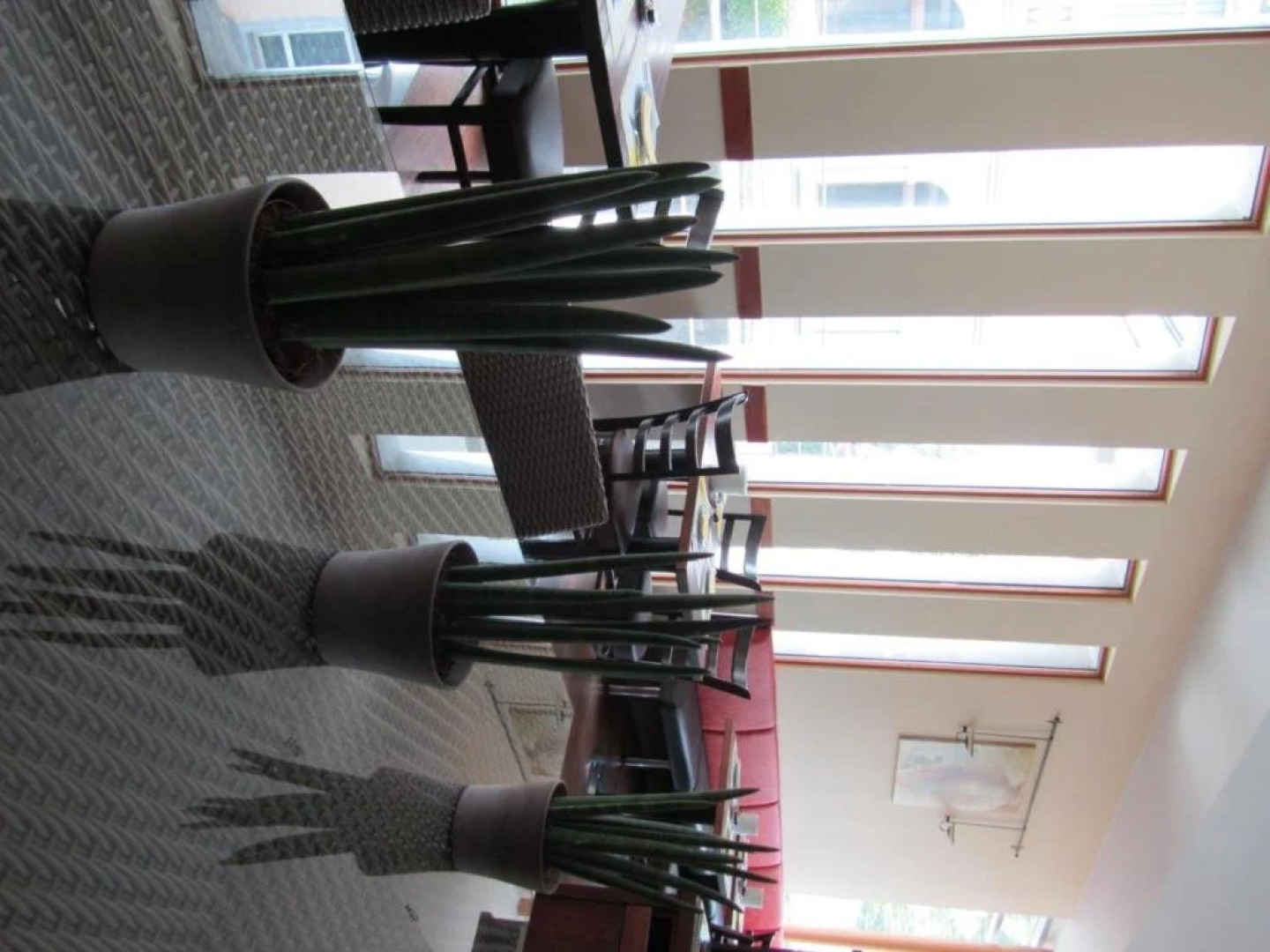 Business Hotel Valerian