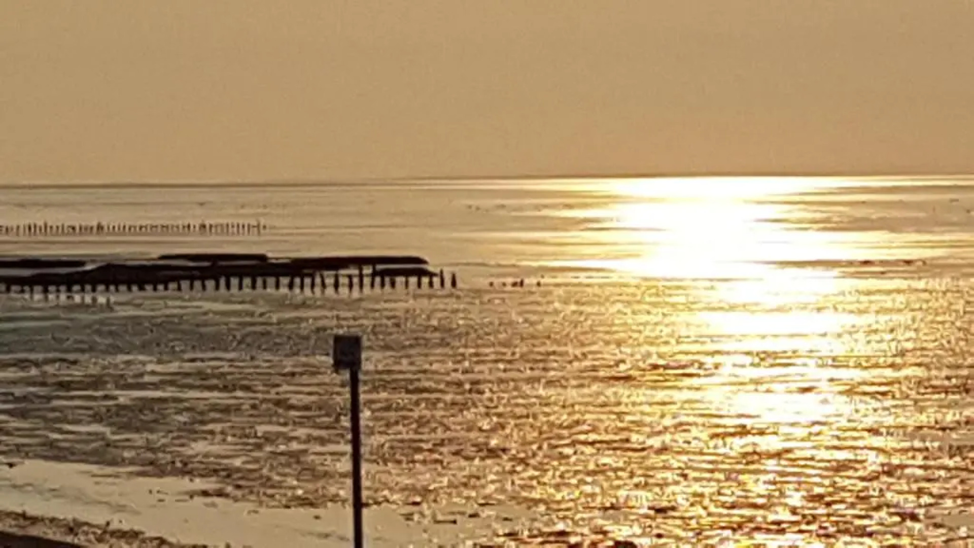 Ferienwohnung Möwennest