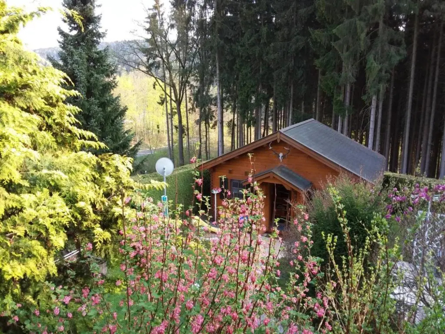 Ferienblockhaus- Laura