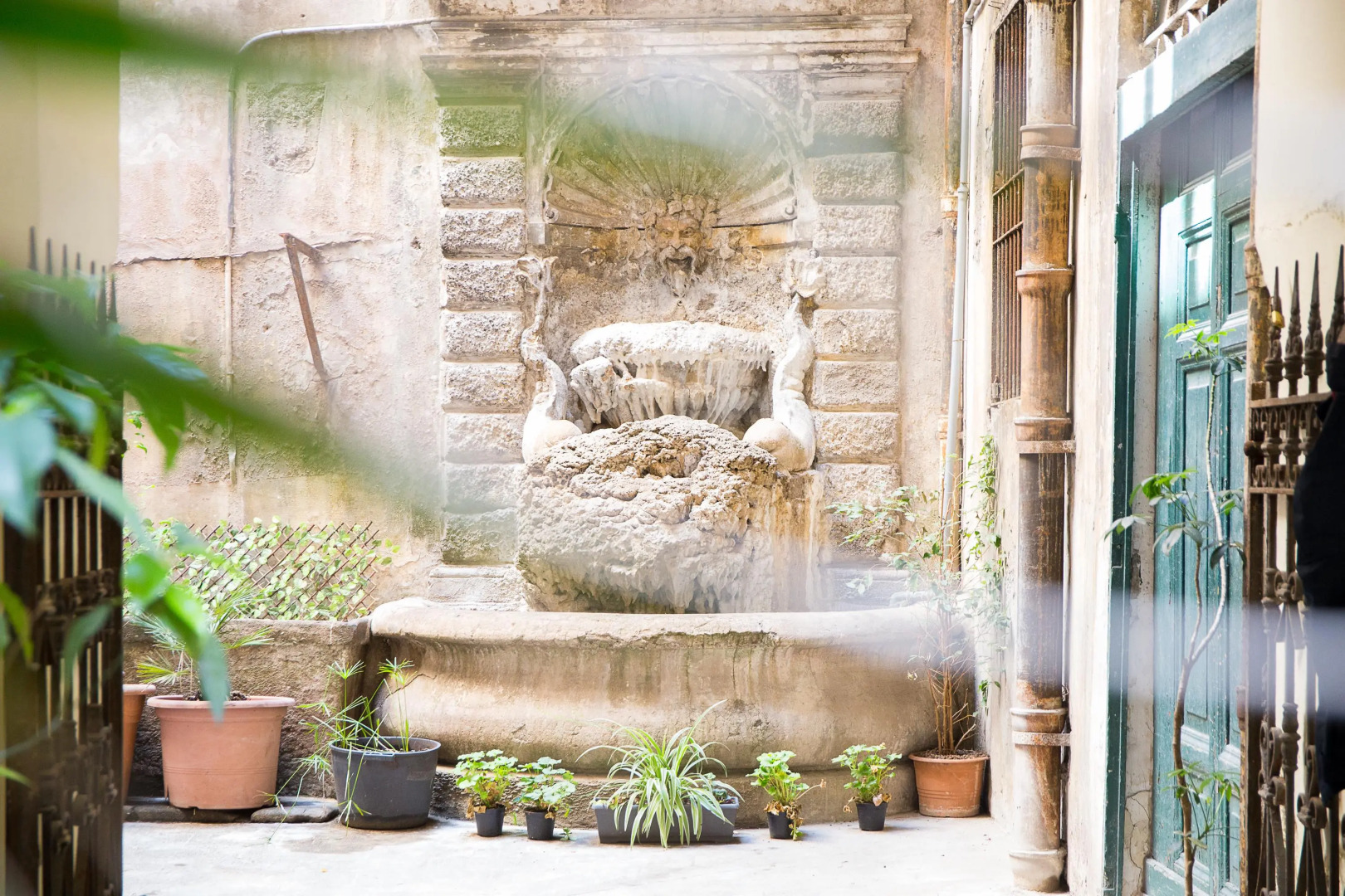 Nerva Accommodation Cavour