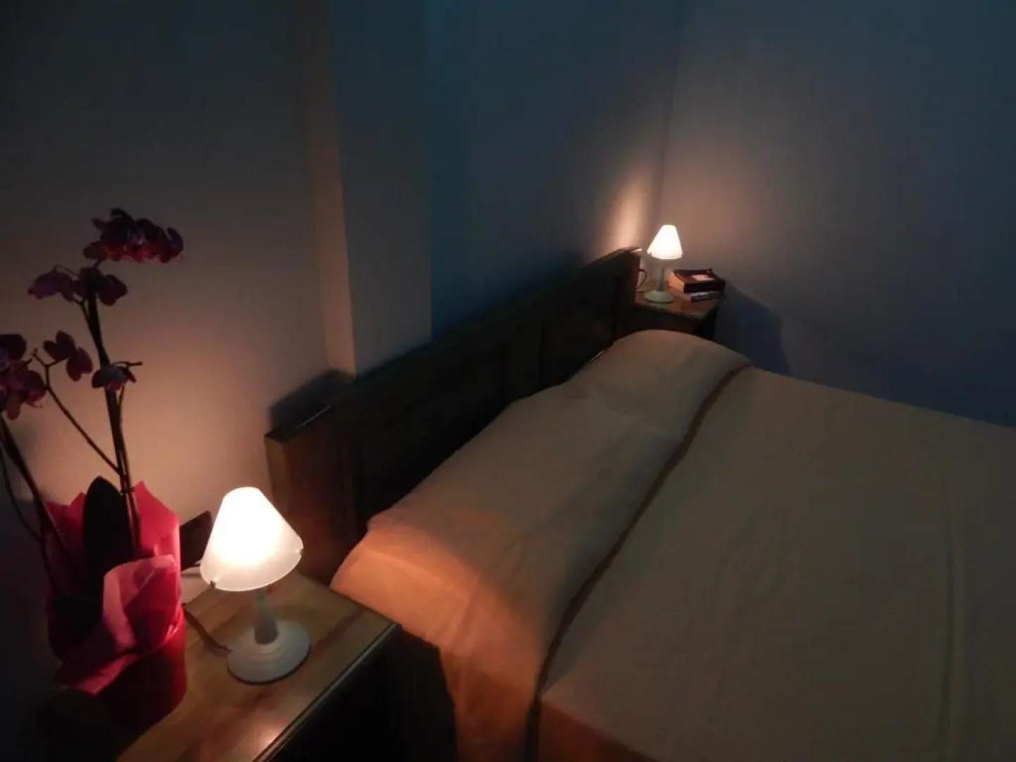 Appartamento Magnolia