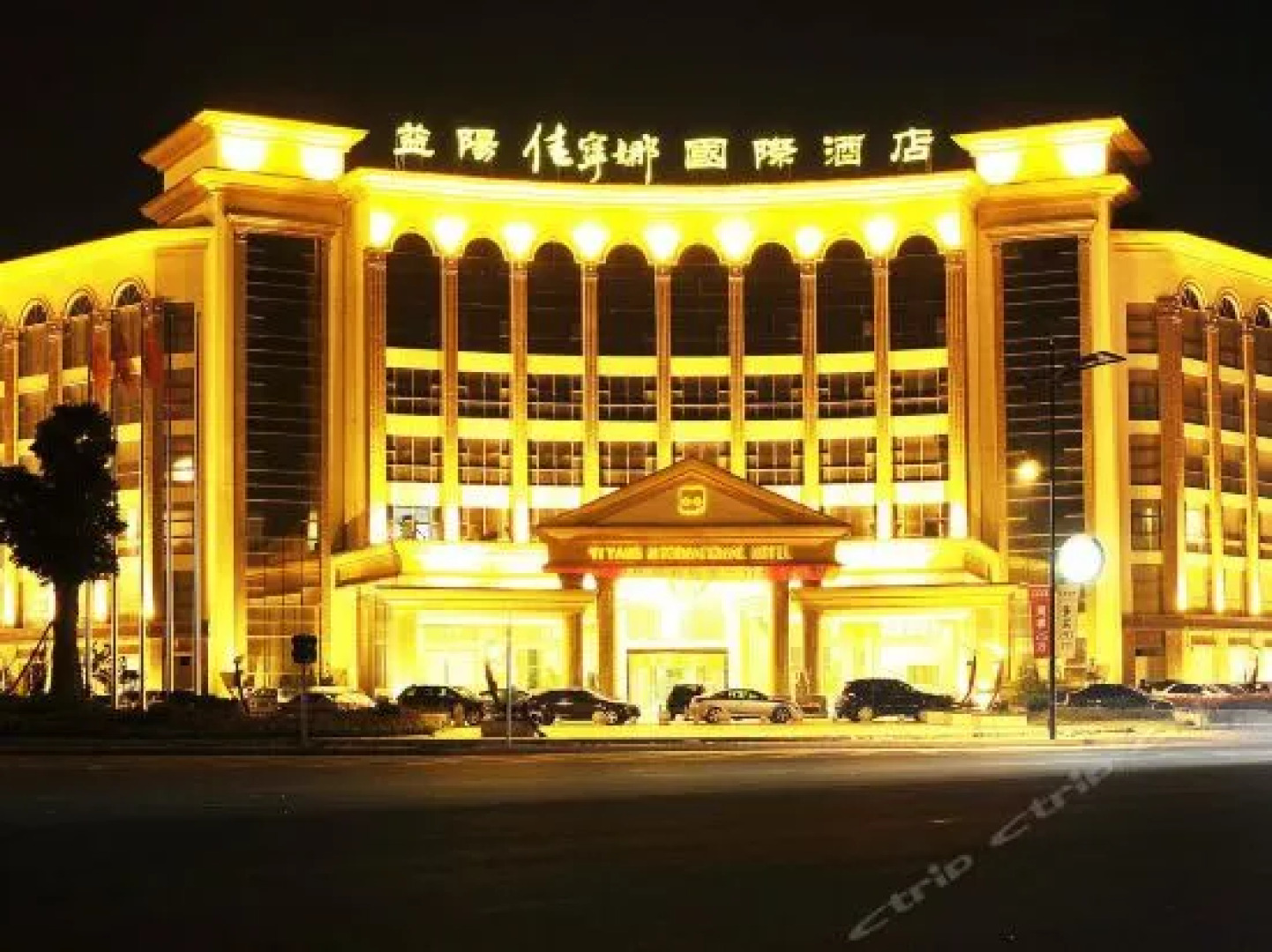 Yiyang Carrianna International Hotel - Yiyang