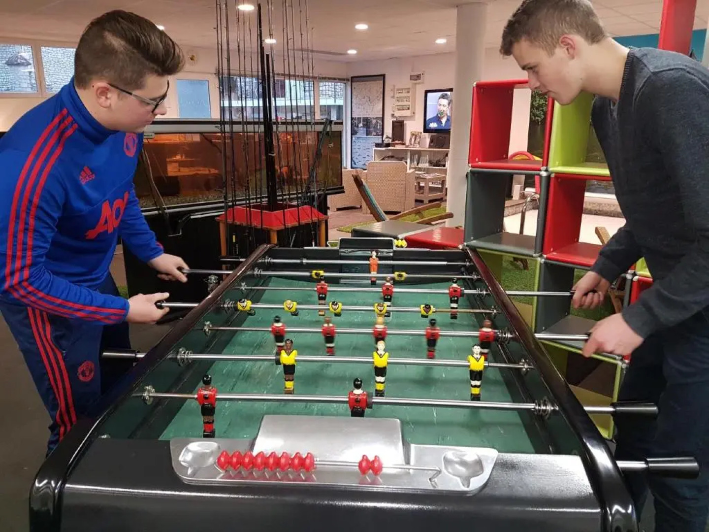 Truite Fario, Fish And Gites