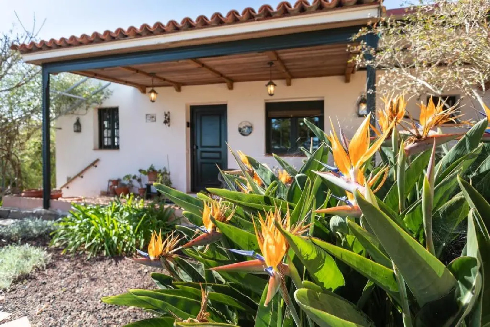 Live la Laguna Casita Vieja