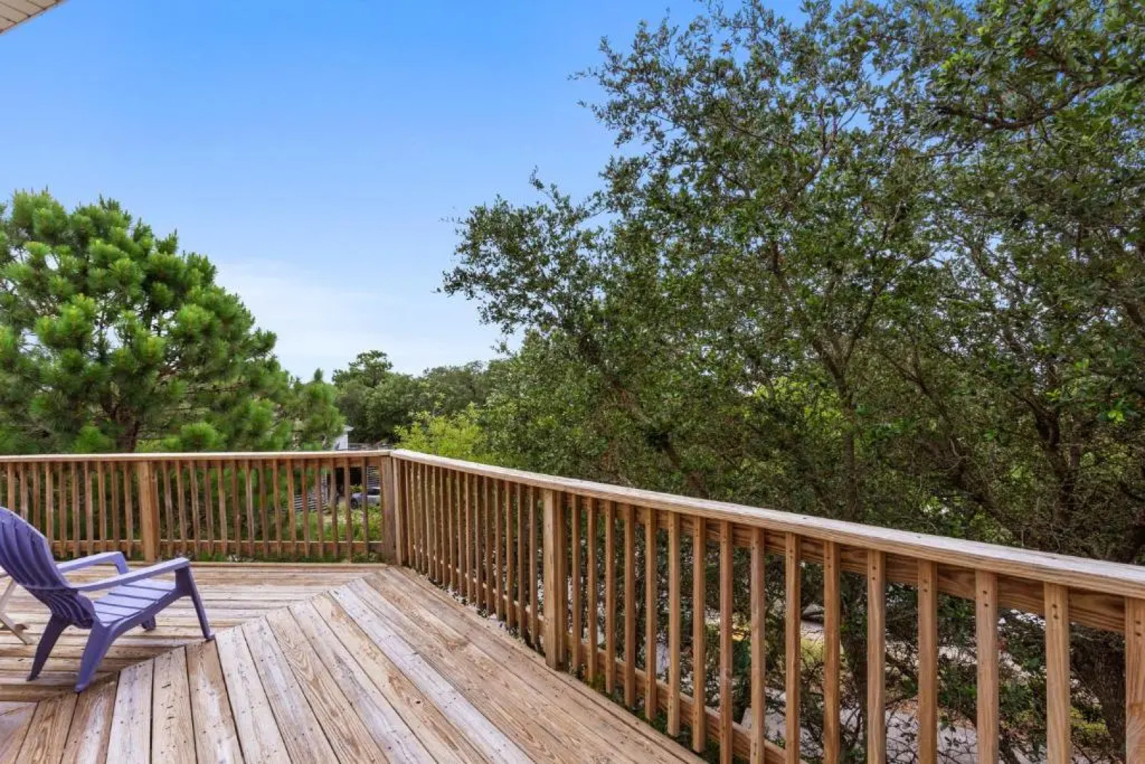 1655 - Dragonfly Cove