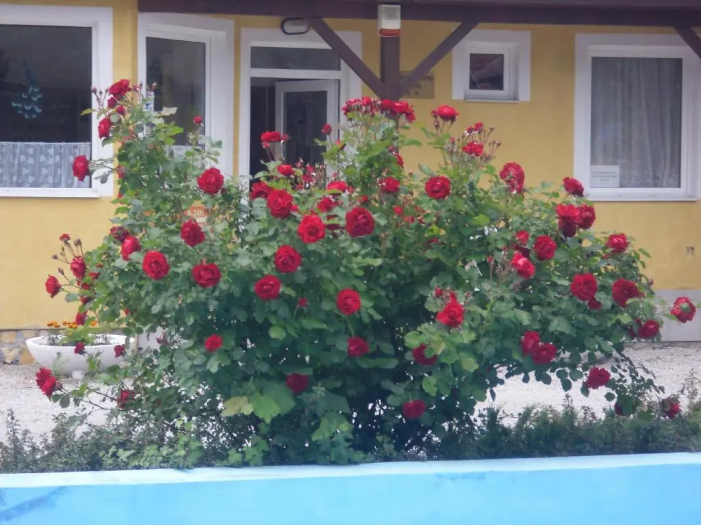 Tulipan Bungalow Camping Resort