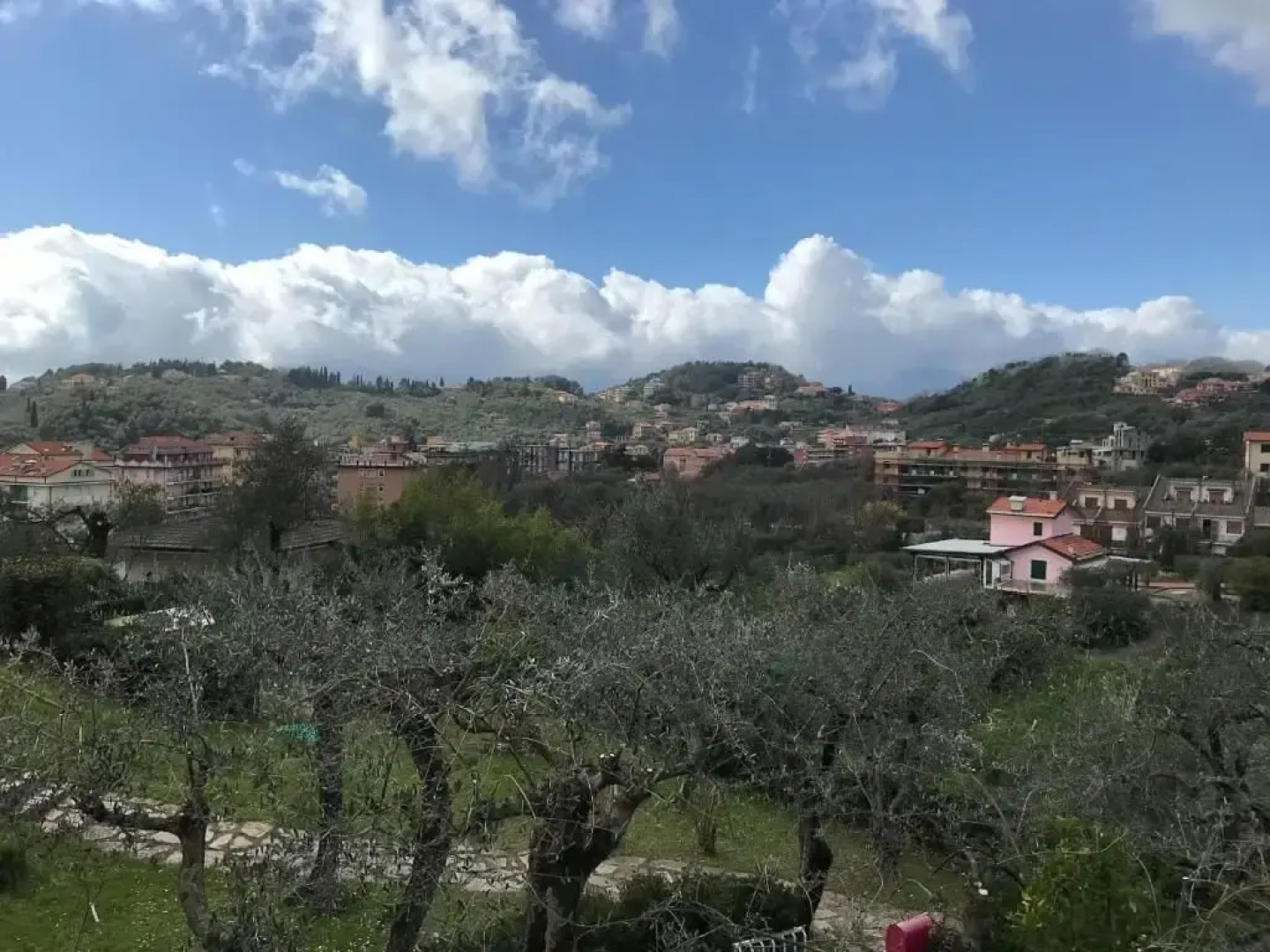 la casa fra gli ulivi