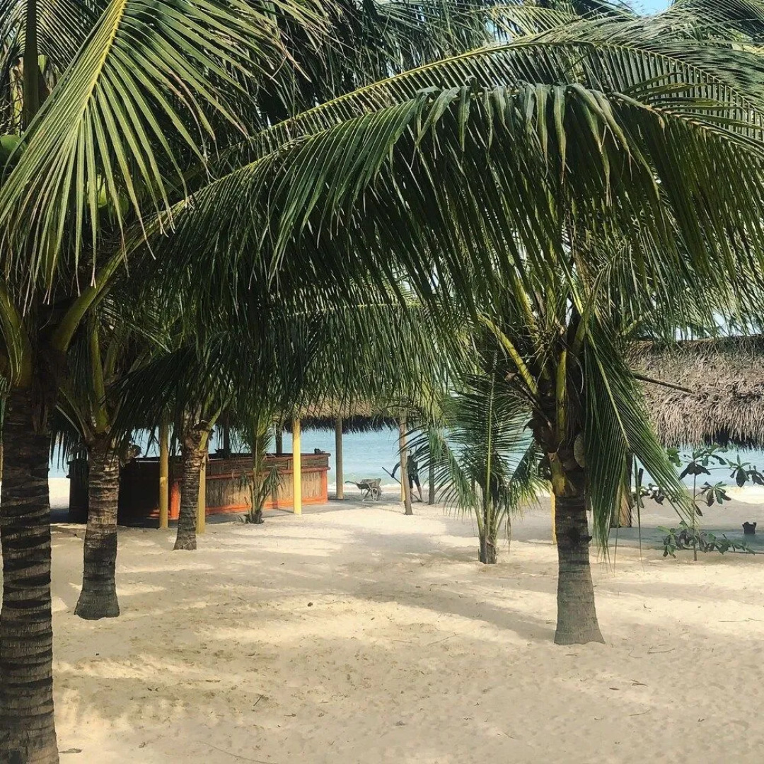 Ocean Beach Bungalows & Hostel