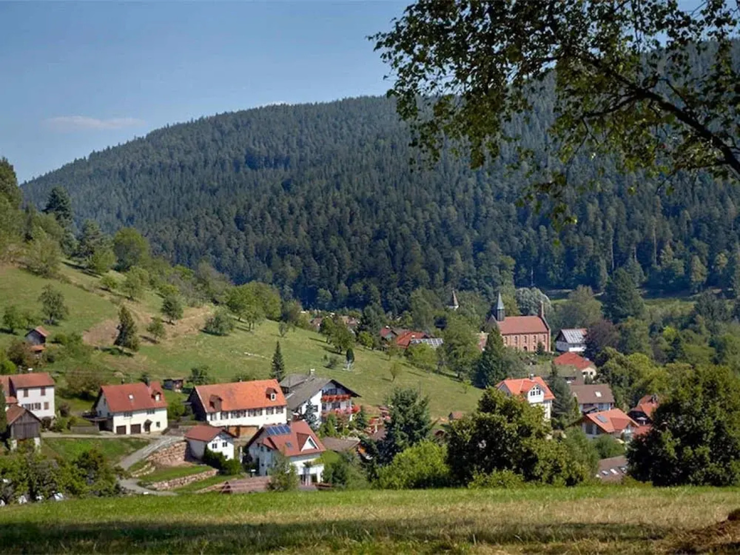 Pension Haus Schönblick