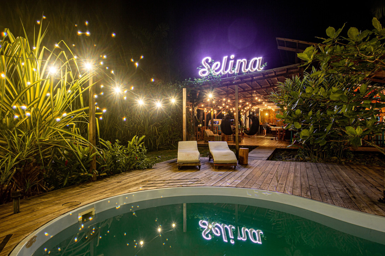 Selina Red Frog