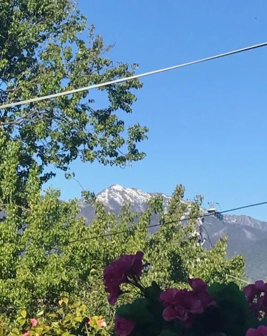 The Ginger Bread House
