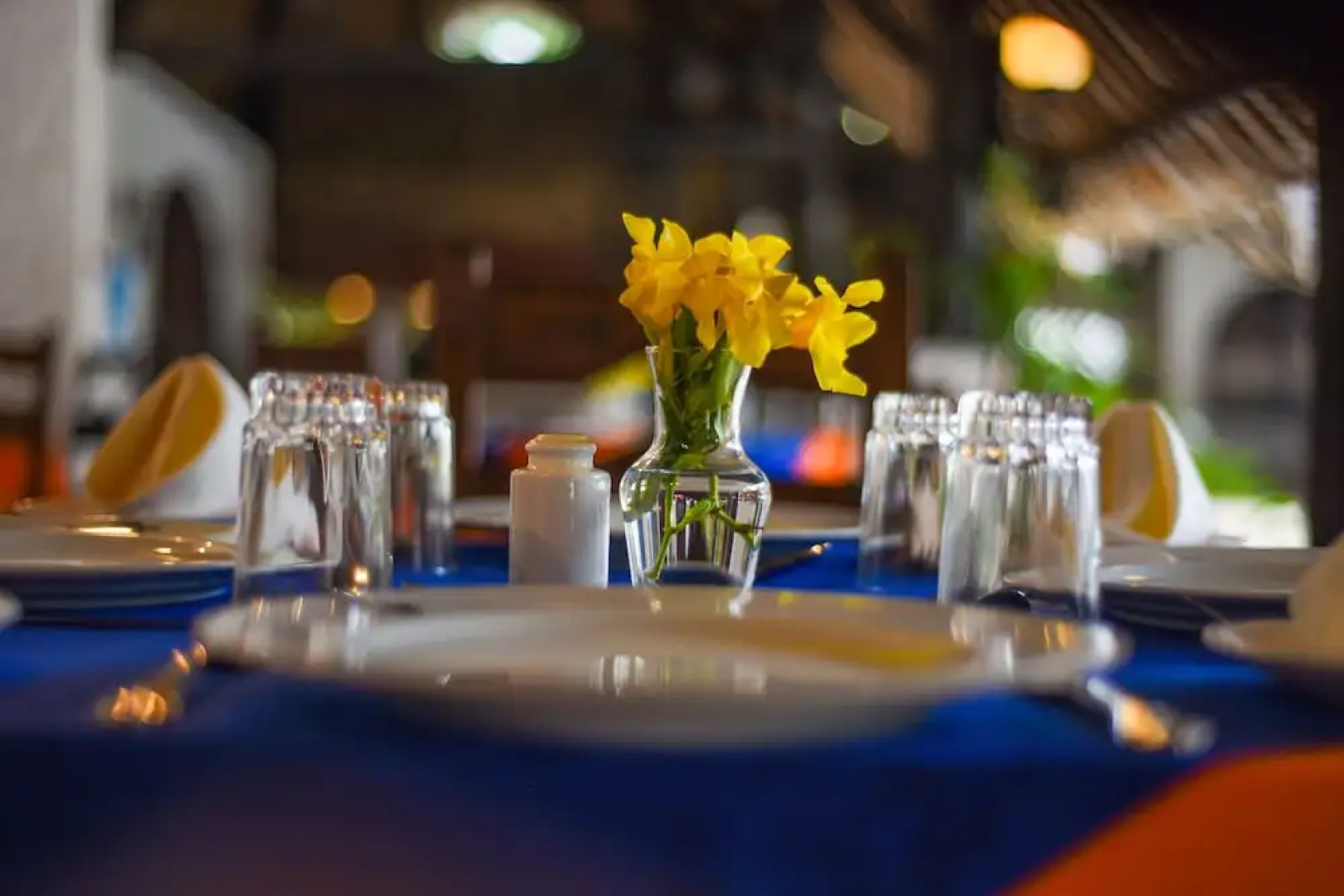 Alliance Safari Beach