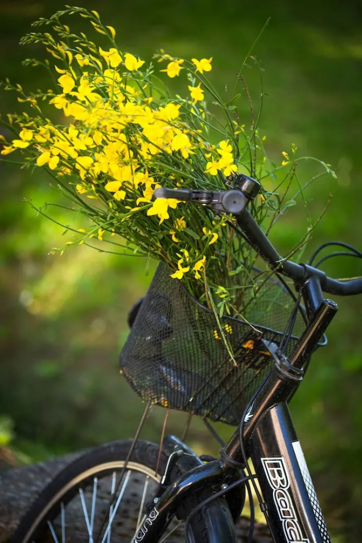 La Campagne St Lazare