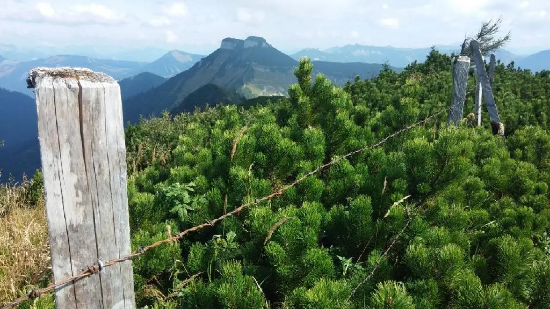 Ferienwohnung Manuela