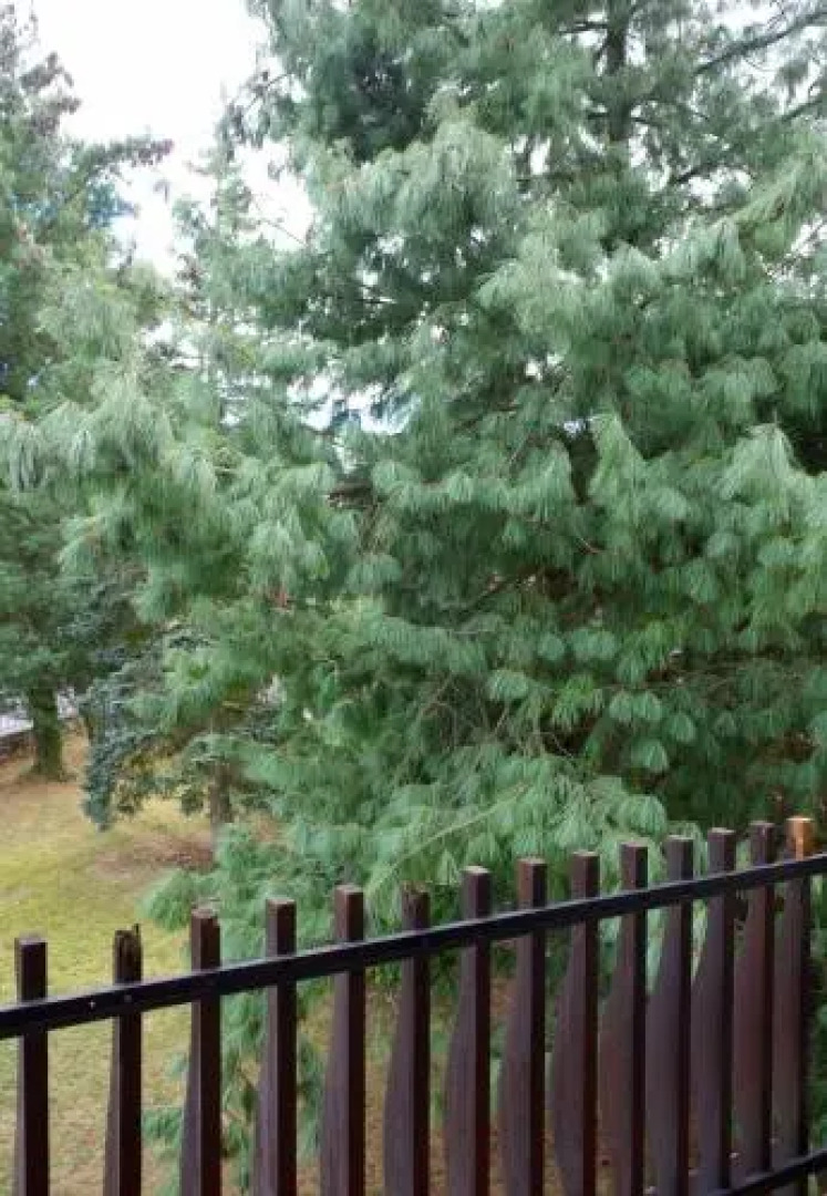 Les Sources de Saverne