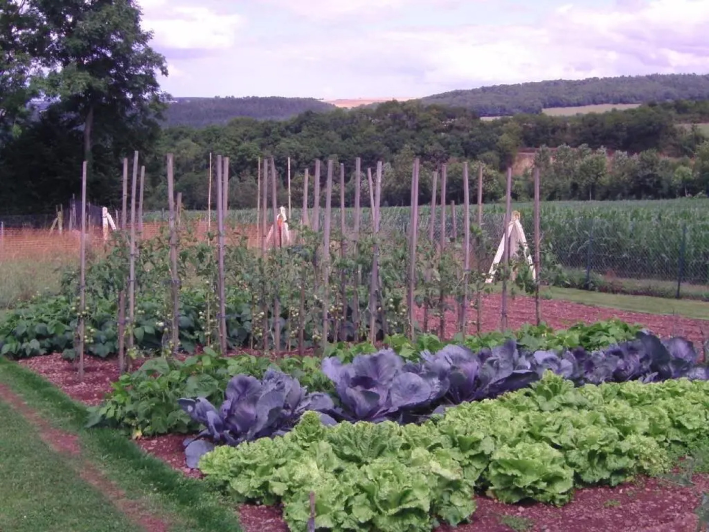 Chambre d'hotes de la Mousse