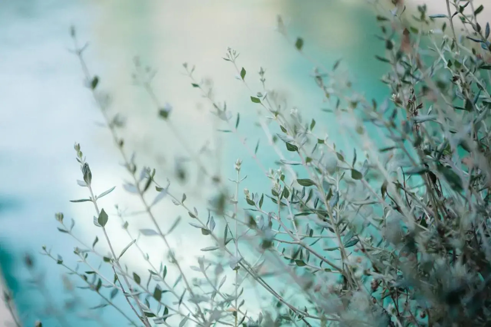 Hotel Casa Peya - Adults Only