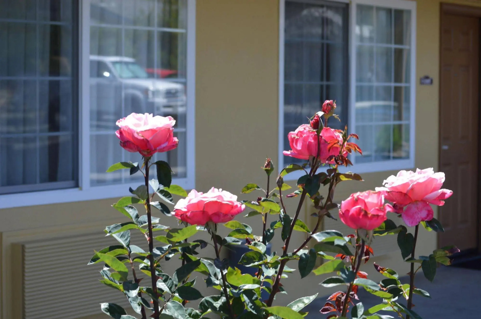 Budget Inn of Paso Robles