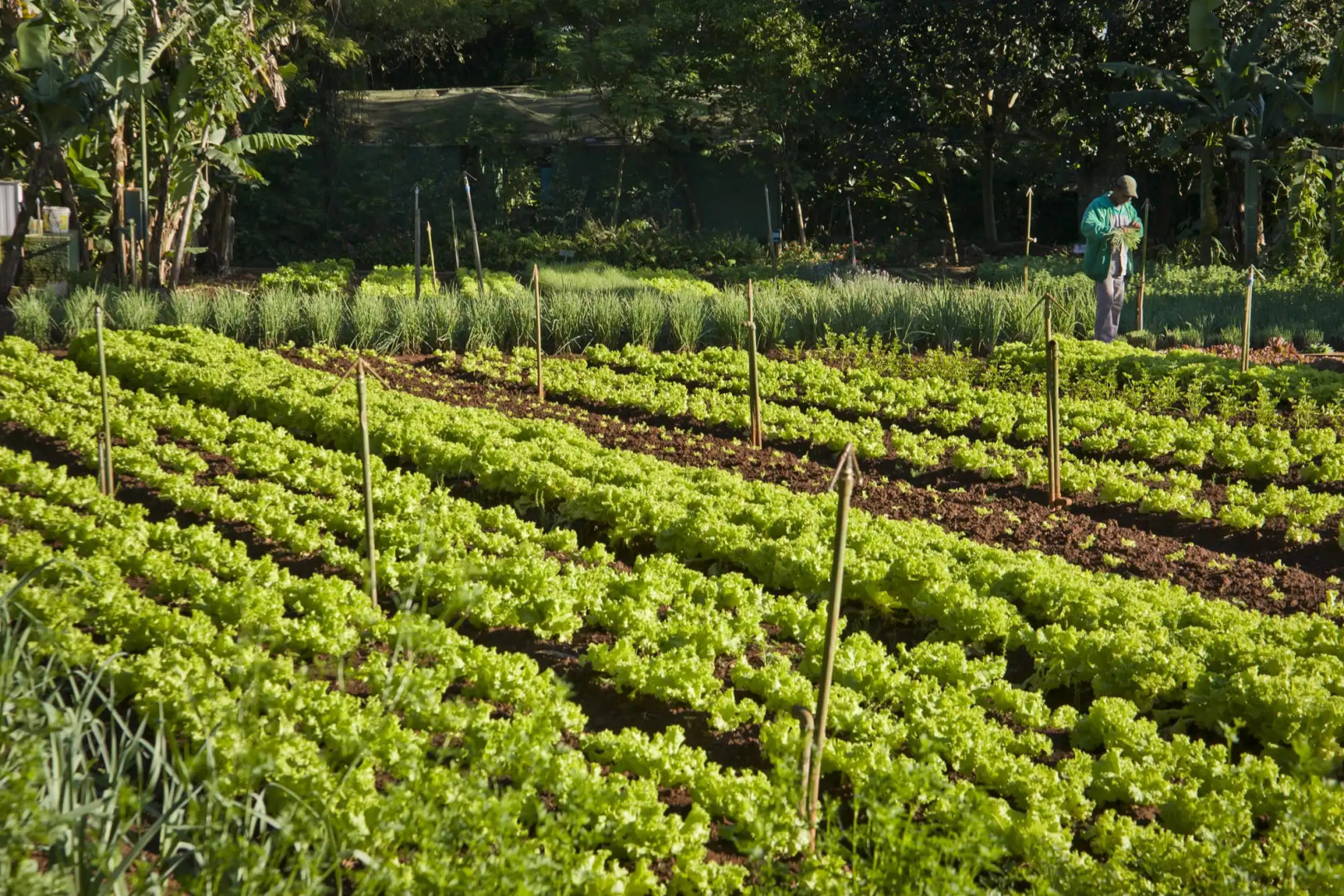 Bourbon Thermas Eco Resort Cataratas do Iguaçu