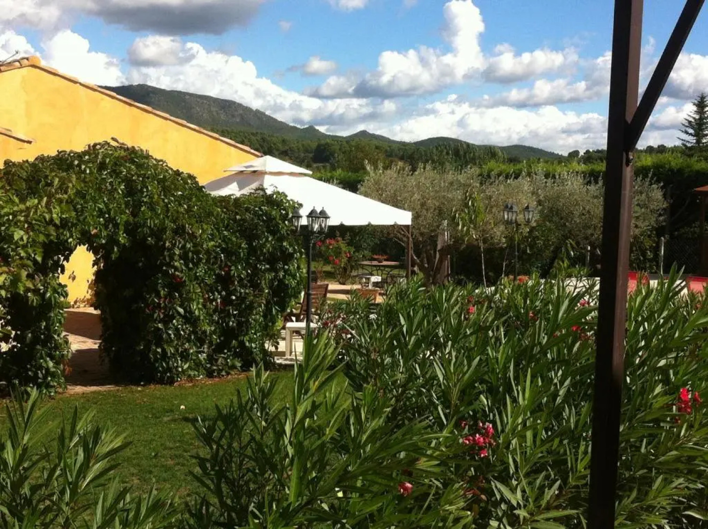 Les cigales des prés Studio