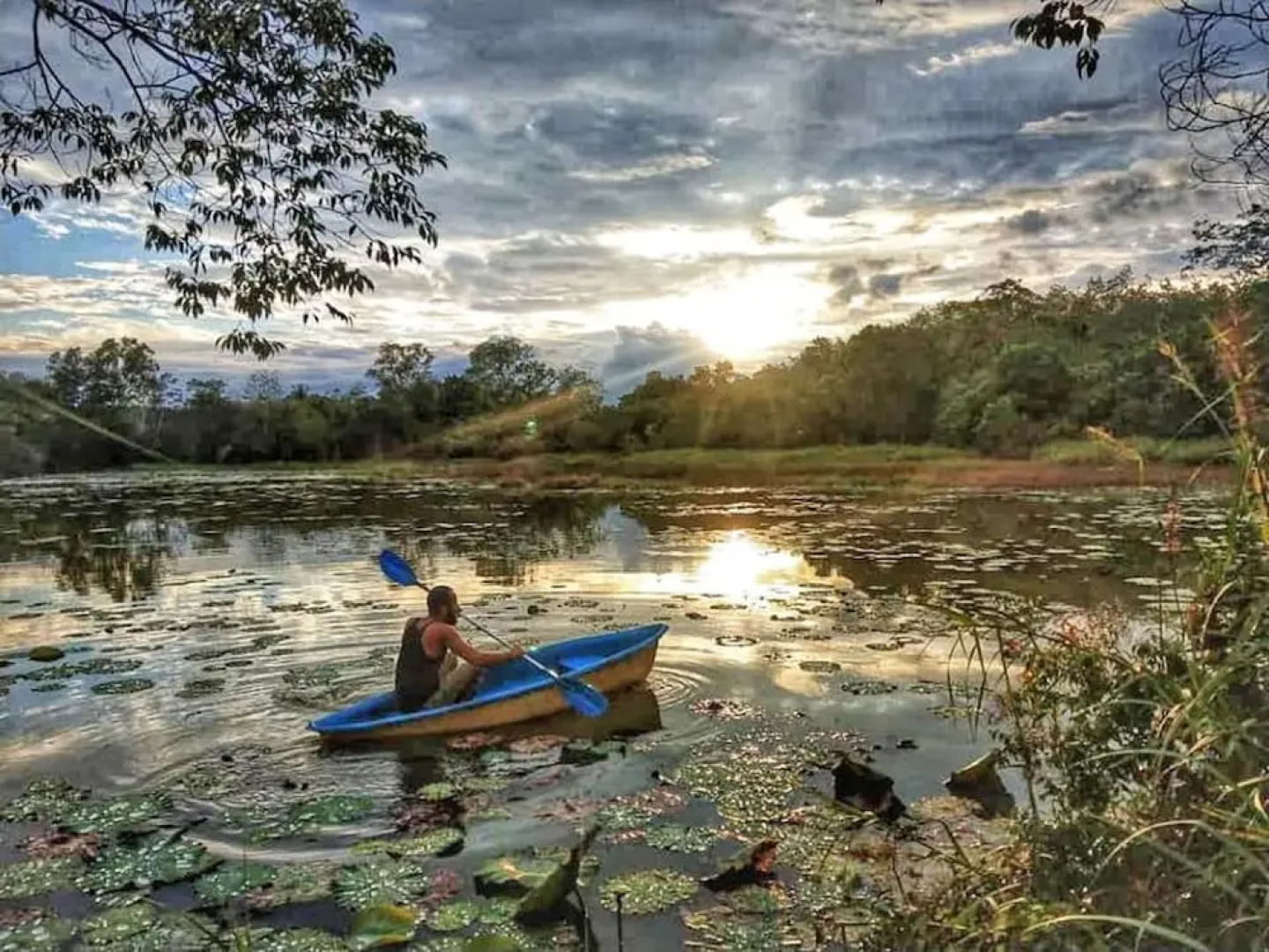 Wichai's Jungle Home Stay
